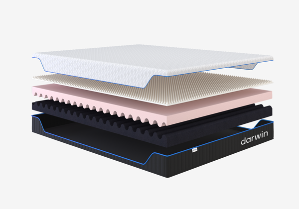 Матрас darwin Evo Foam