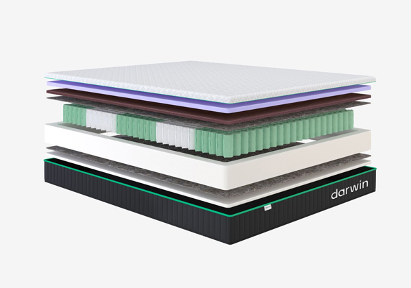 Матрас darwin Orto Spring