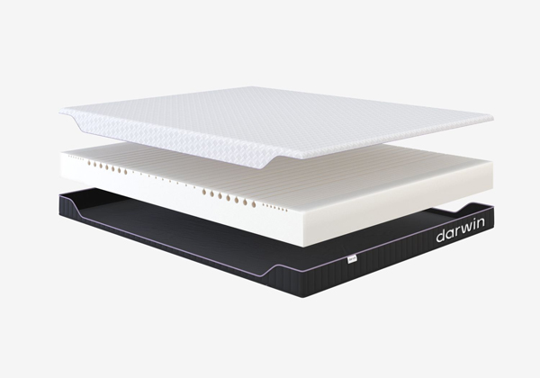 Матрас darwin Life Foam